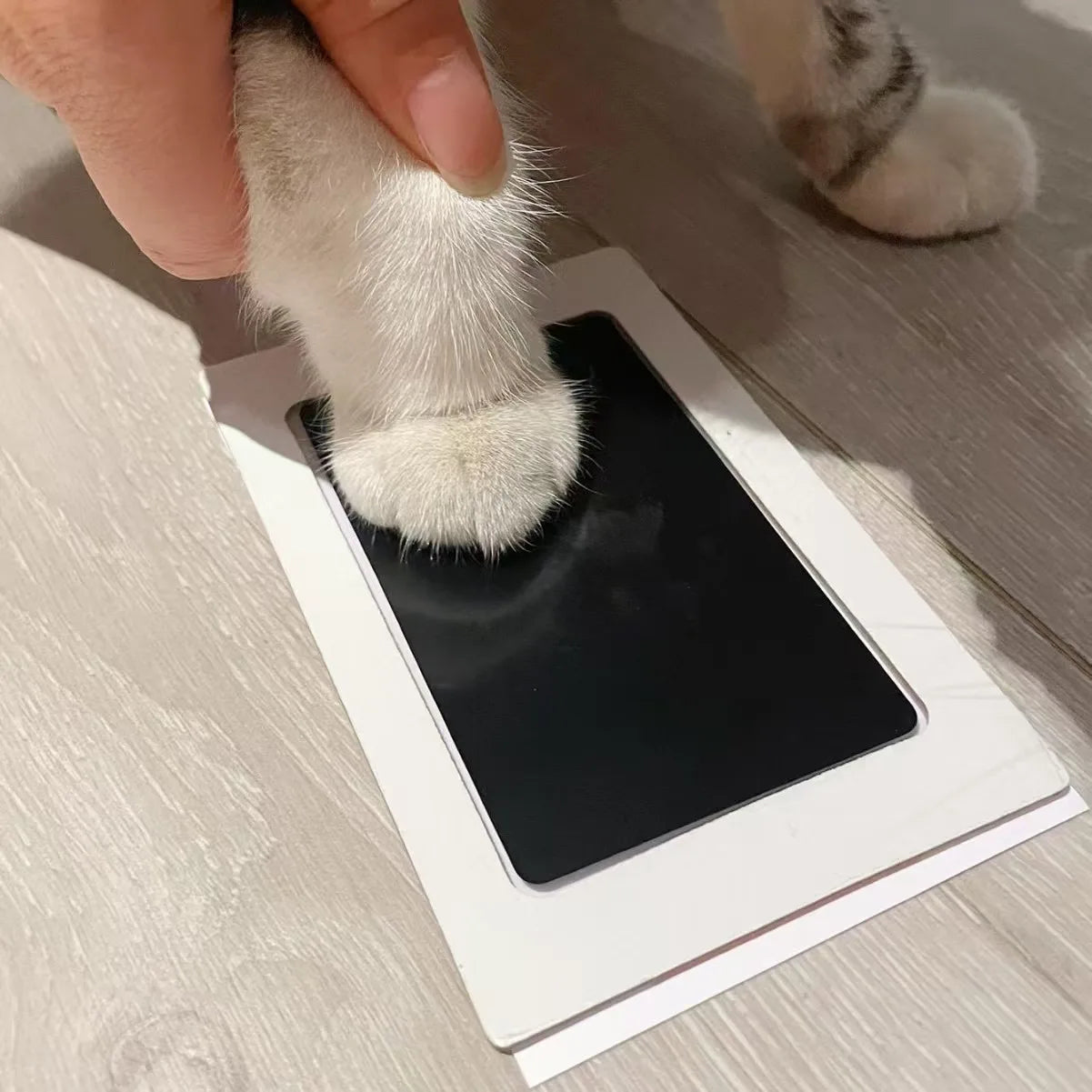 1 Set Baby Handprint Footprints Ink Pads Safe Non-toxic No-Touch Skin Inkless Inkpad Kits Pet Cat Dog Paw Prints Souvenirs Gifts