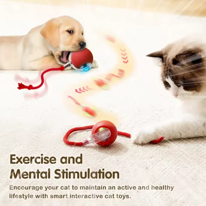 Cat Interactive ball Toy, Automatic Rolling Ball with Tail, Rechargeable Smart Pet Interactive Toy, Intelligent toy for Cat